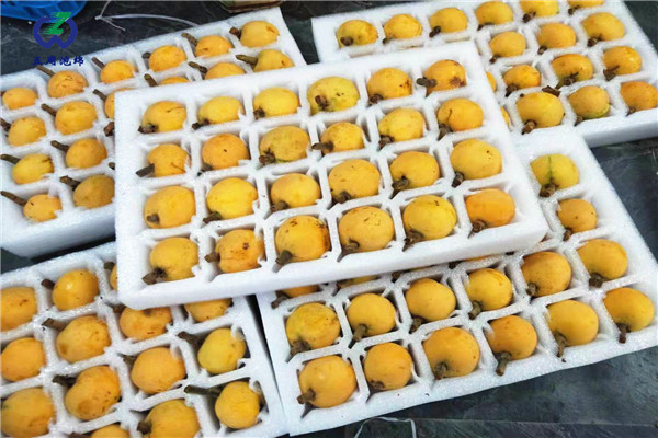 定做枇杷托的材料是環(huán)保的嗎？