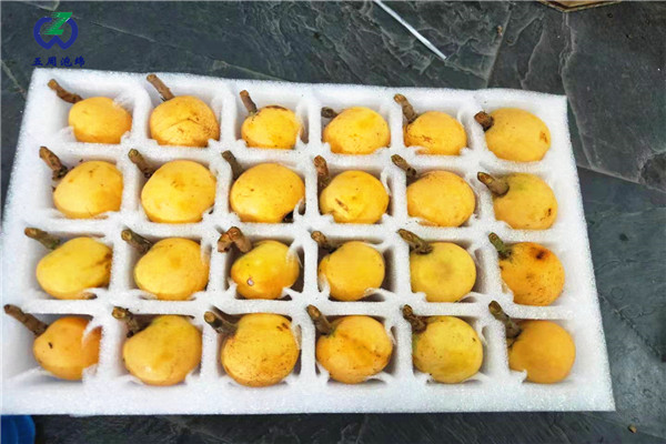 枇杷內(nèi)托的制作材料對人體有害嗎？
