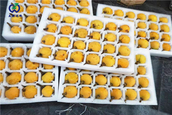 珍珠棉水果托定做，就找五周泡綿